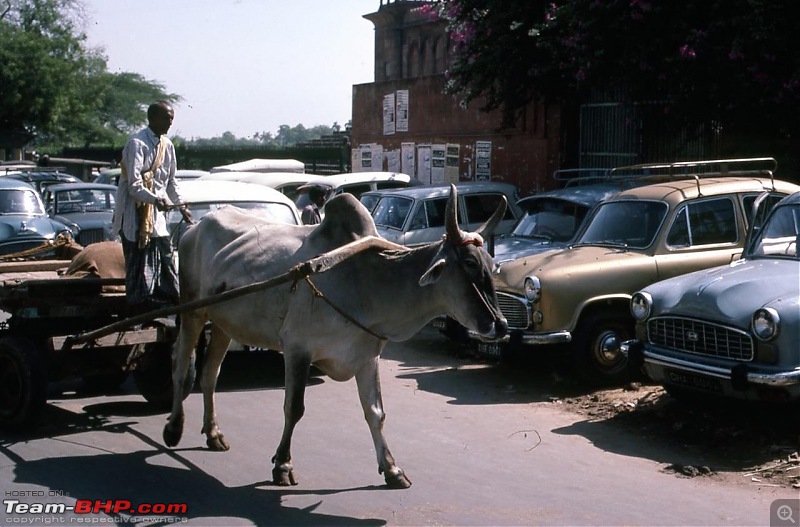 Nostalgic automotive pictures including our family's cars-delhi-2.jpg