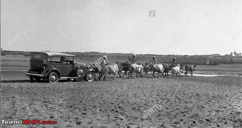 Nostalgic automotive pictures including our family's cars-india-oxen1.jpg