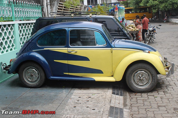 Pondicherry Collection-beetle_side.jpg