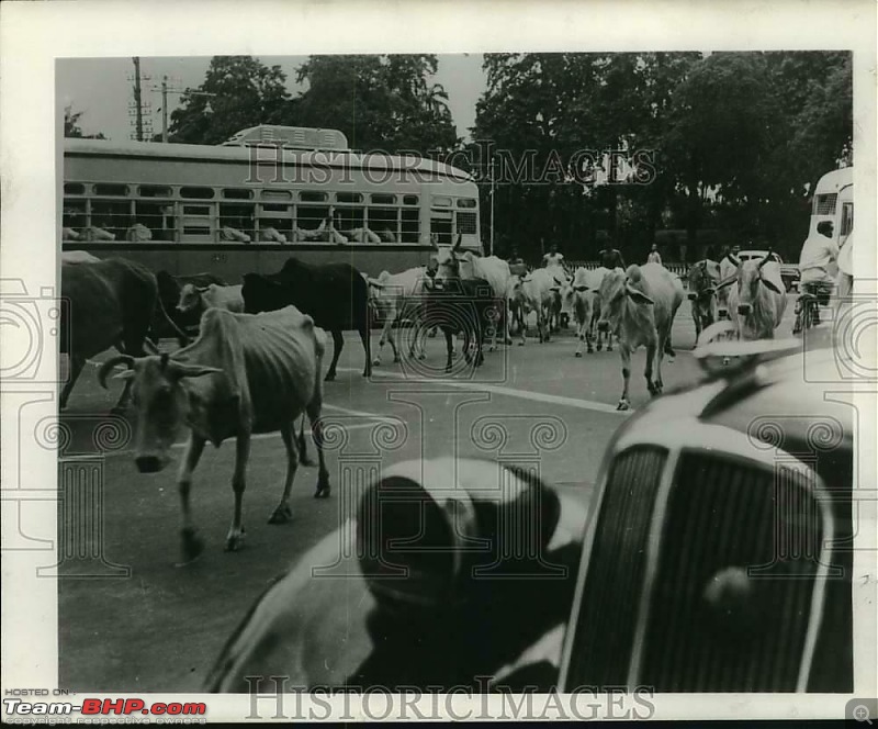 Images of Traffic Scenes From Yesteryears-cal.jpg