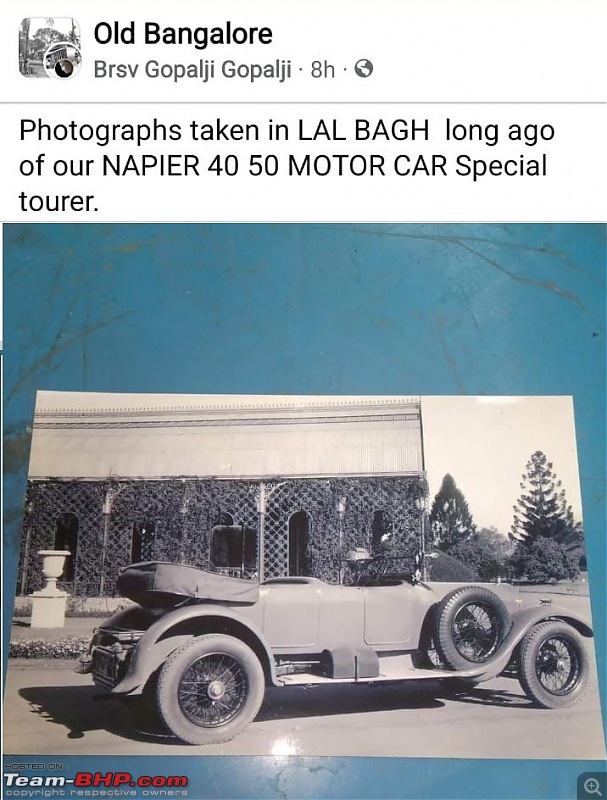 Nostalgic automotive pictures including our family's cars-napier04.jpg