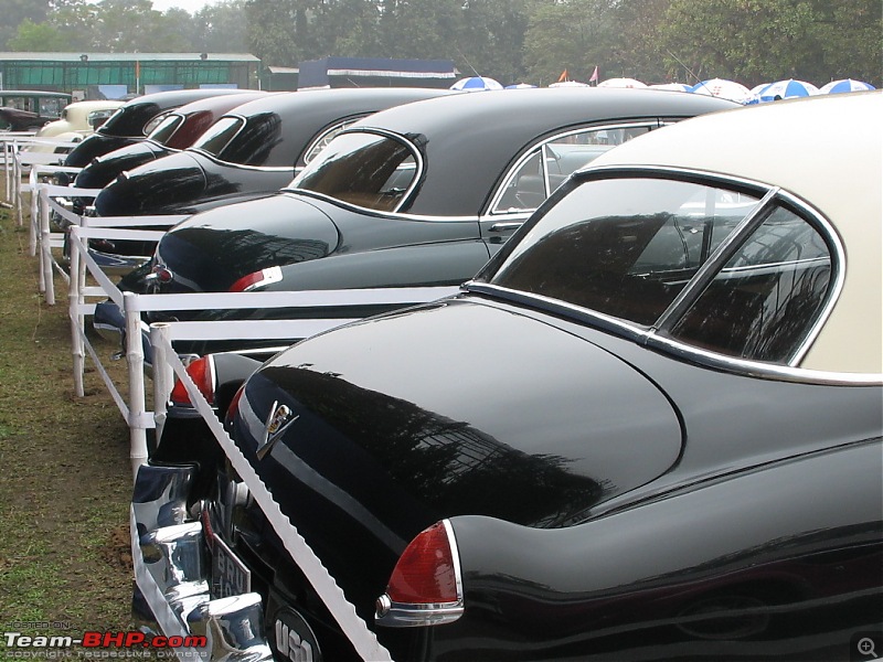 Calcutta-Tolly Pet & Car Show-2010-img_5953.jpg