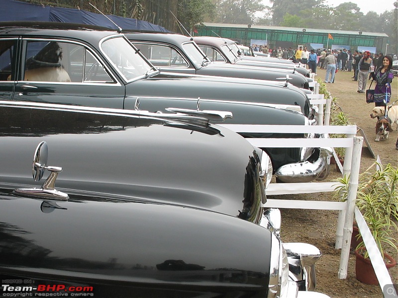 Calcutta-Tolly Pet & Car Show-2010-img_5955.jpg