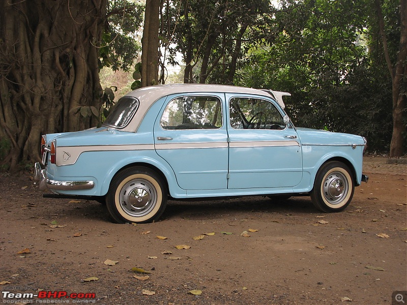 Calcutta-Tolly Pet & Car Show-2010-img_5815.jpg