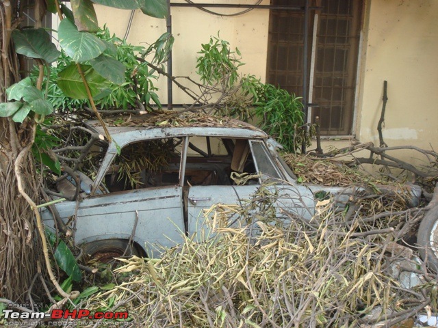 Rust In Pieces... Pics of Disintegrating Classic & Vintage Cars-dsc02463.jpg