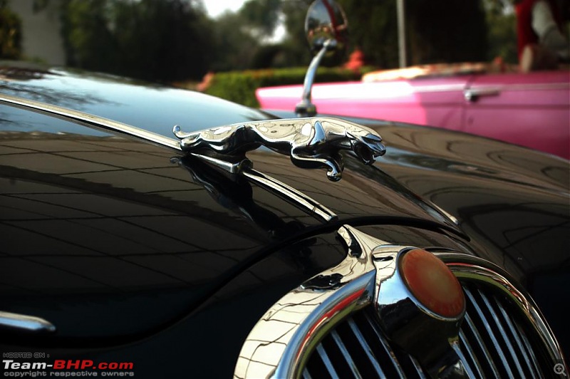 Report and PICS of 13th Vintage and Classic Car Rally - Jaipur-dsc_0513_1024x681.jpg