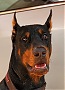Lloyd's Avatar