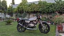 Brar350's Avatar