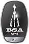 BSASLR's Avatar