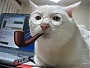 manpres2's Avatar
