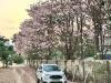 WhatsApp Image 2025-05-05 at 3.02.54 PM (1)..jpg