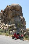 Joshua Tree National Park