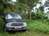 Near the Golden temple, Bylakuppe, Coorg