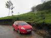 At Munnar