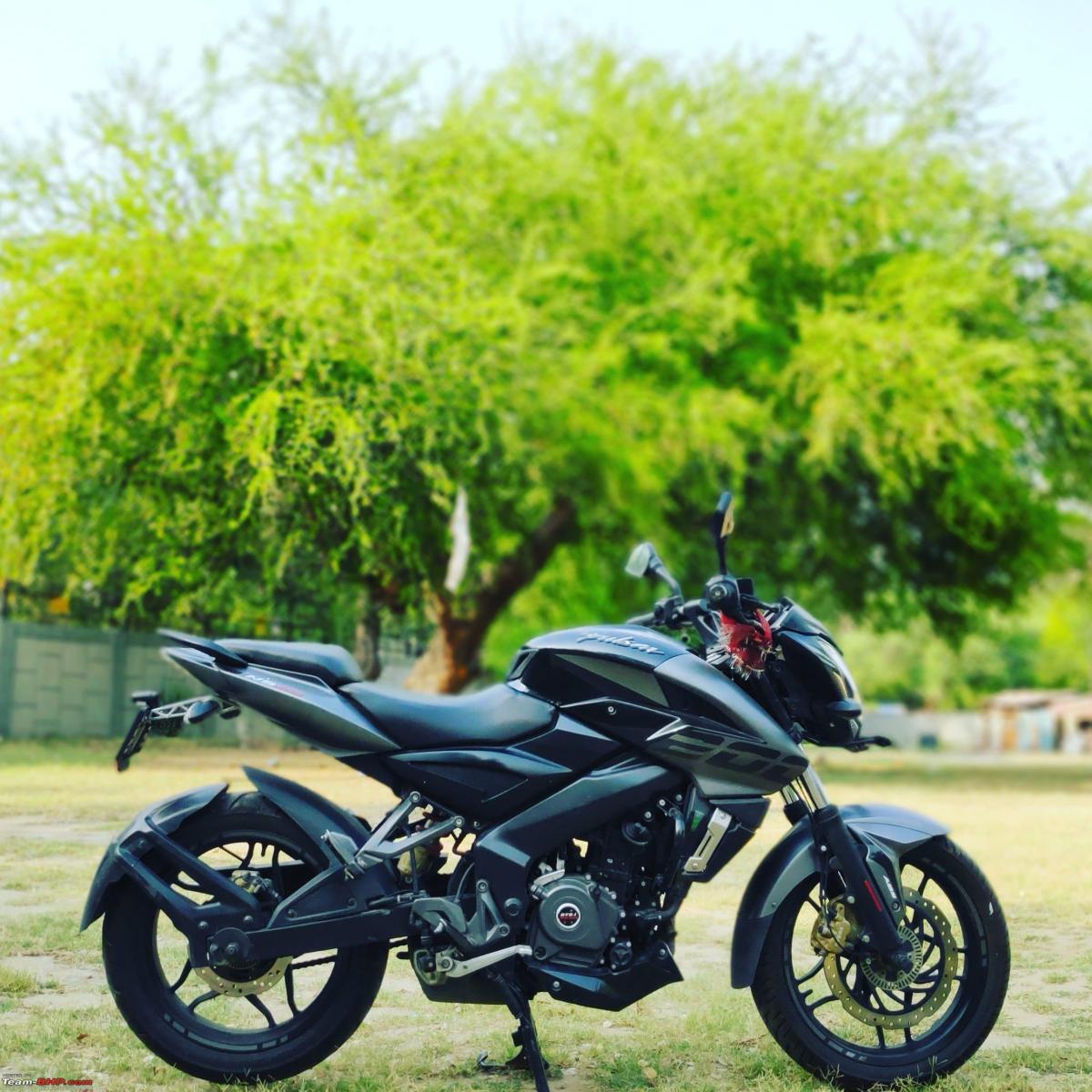 pulsar 200 ns gear shift indicator