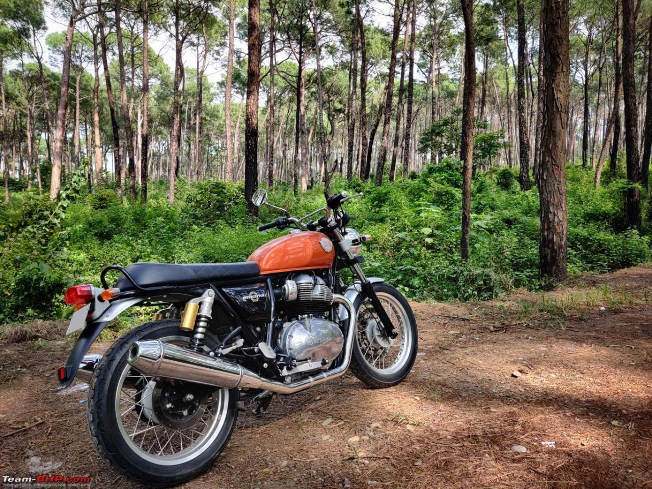 Interceptor 650 for sale sales olx