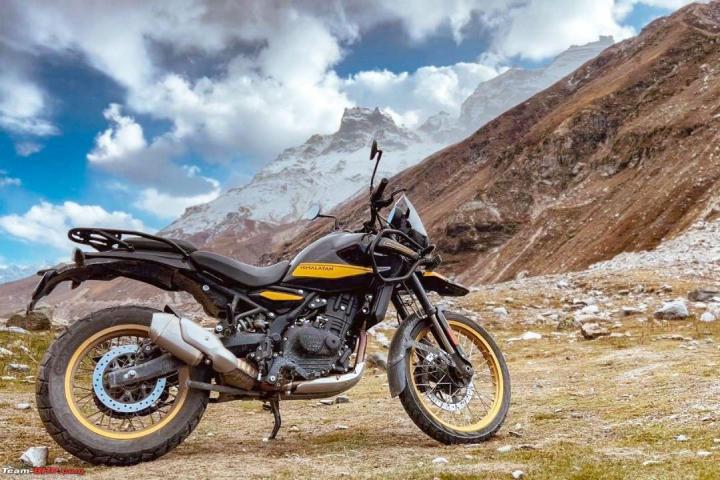 New himalayan shop