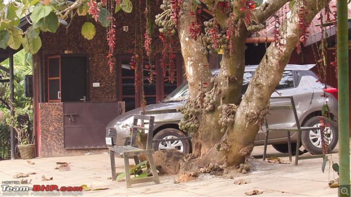 Pics: A 6 hour drive from Bangalore for Ayurveda treatment 