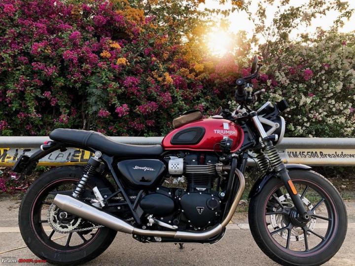 Used or new Triumph Street Twin as my Harley 48 replacement 