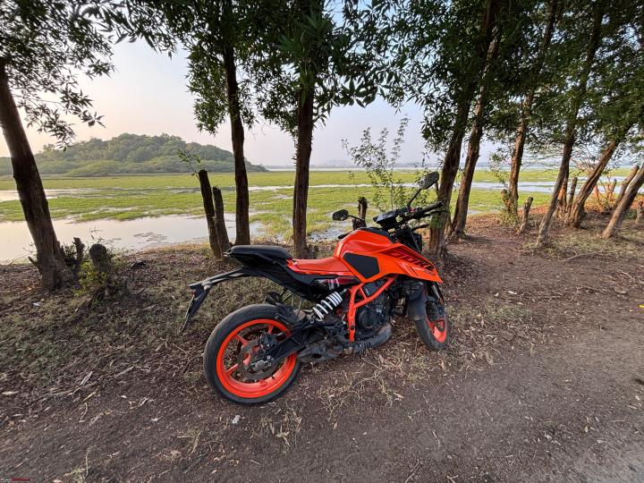 29,000 km in a year with my 2024 Duke 390: 2 niggles I have noticed 