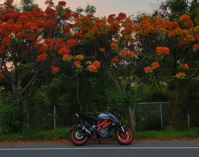 1 year with my KTM 390 Duke: Review, Rides & Upgrades 