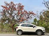 Ford EcoSport: 174,500 km review