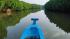 Boating experience in Pichavaram, world's 2nd largest mangrove forest