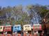 Mumbai: BEST to auction old double-decker buses